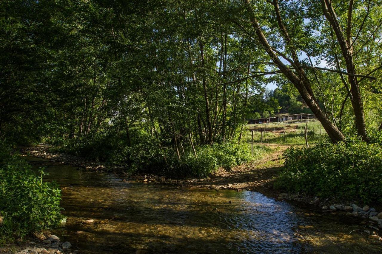 Agriturismo Borgo Serafino Mangone  Dış mekan fotoğraf