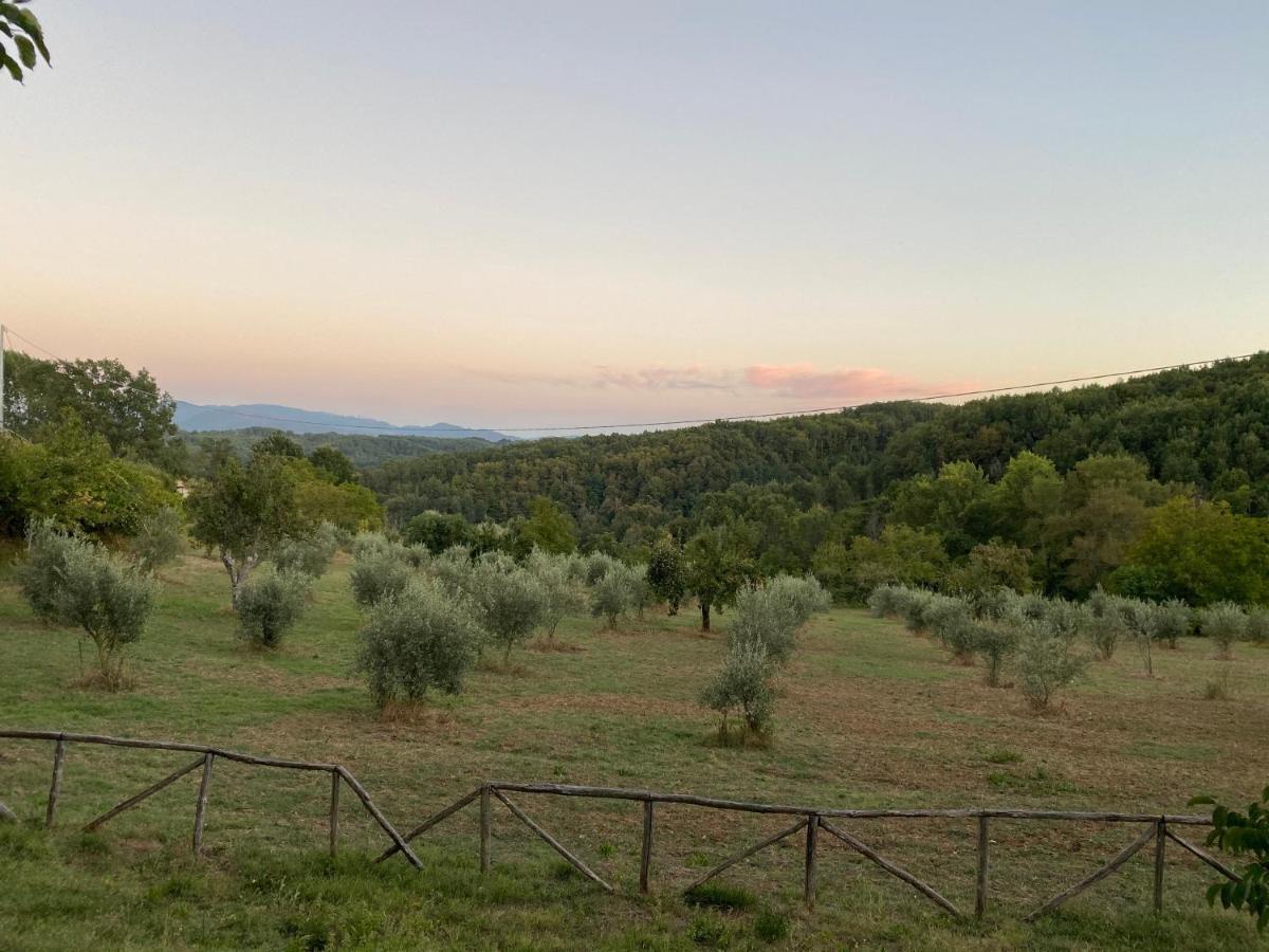 Agriturismo Borgo Serafino Mangone  Dış mekan fotoğraf